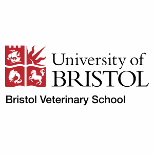 University of Bristol – Four Year Programme - VMSAR